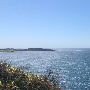 Meet your Posher, Gracie